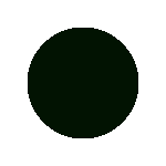 Croc Emerald Green