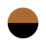 Black With Brown Trim